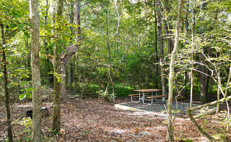 Camping at Cane Creek Mountains Natural Area
